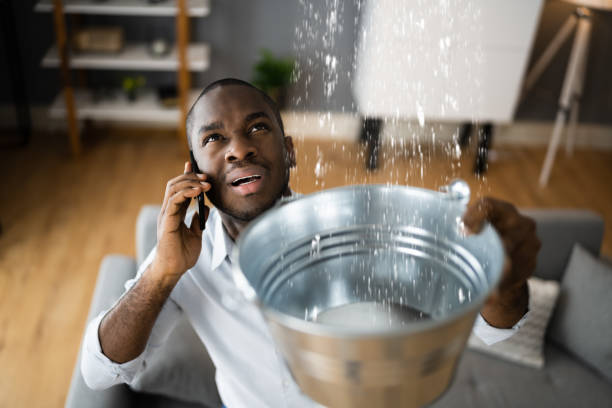 Best Water damage restoration experts  in Rural Hill, TN