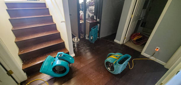 Best Ceiling water damage repair  in Rural Hill, TN