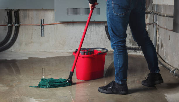 Best Flood damage cleanup  in Rural Hill, TN