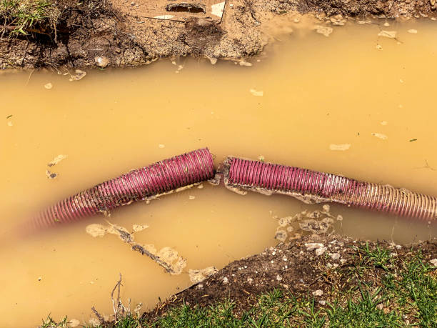 Water damage restoration experts in Rural Hill, TN